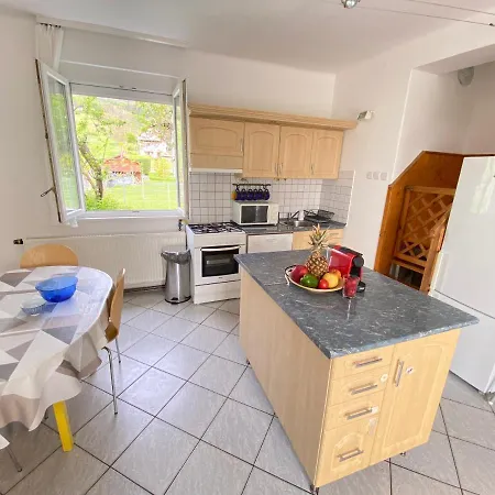 Dandelion Szépvölgyi