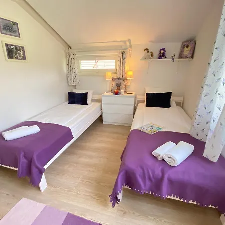 Dandelion Szepvoelgyi Vendeghaz Дом отдыха *