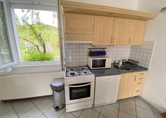 Dandelion Szepvoelgyi Vendeghaz בדקסוניטומאי