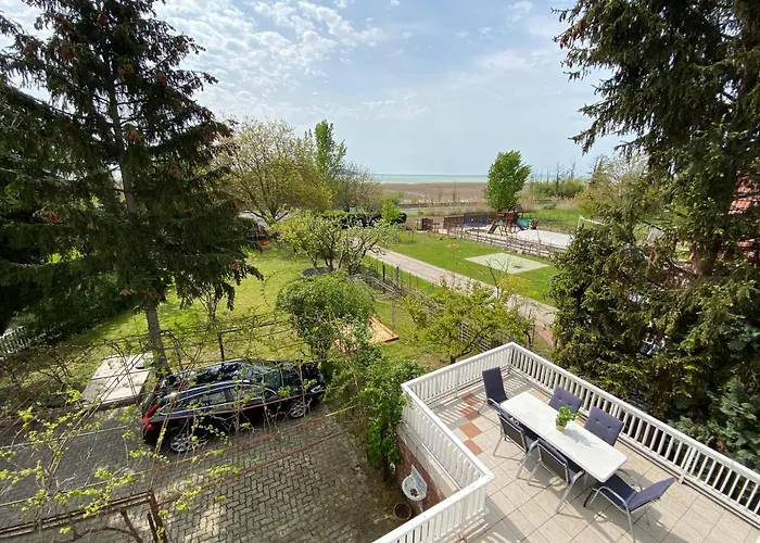 Dandelion Szépvölgyi