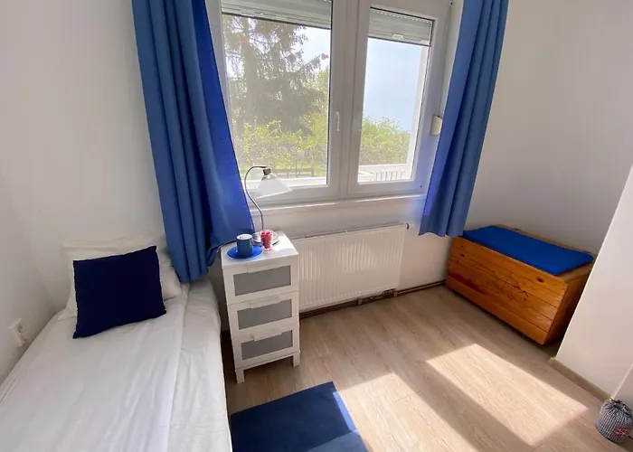 Dandelion Szépvölgyi *