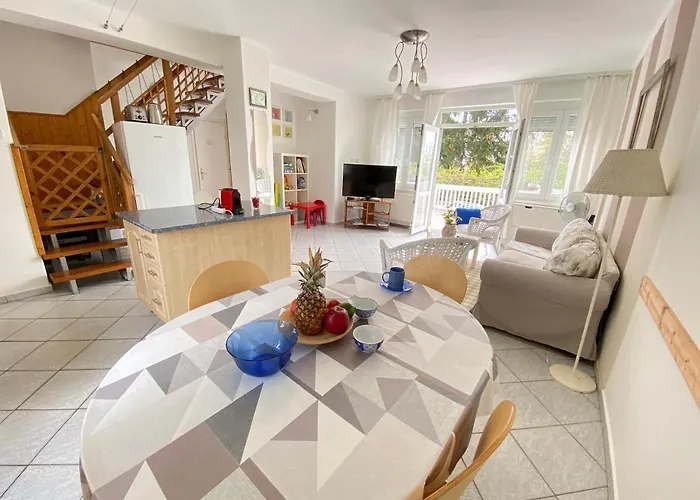 Dandelion Szépvölgyi