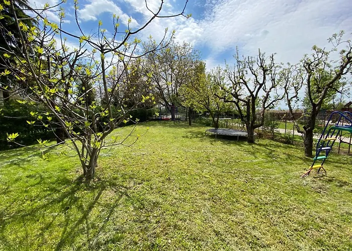 Dandelion Szepvoelgyi Vendeghaz * בדקסוניטומאי