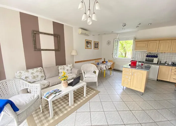 Dandelion Szépvölgyi