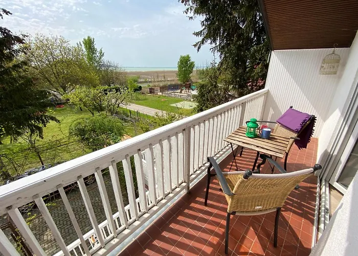 Dandelion Szépvölgyi